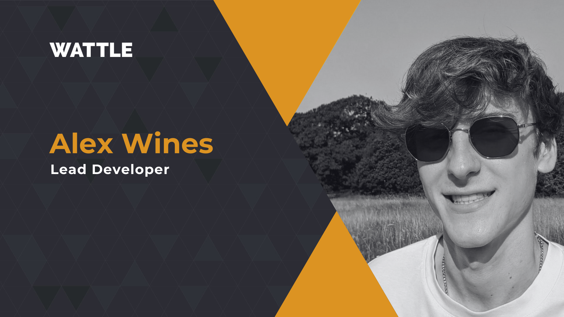 Alex Wines, Lead Developer at Wattle — listing image