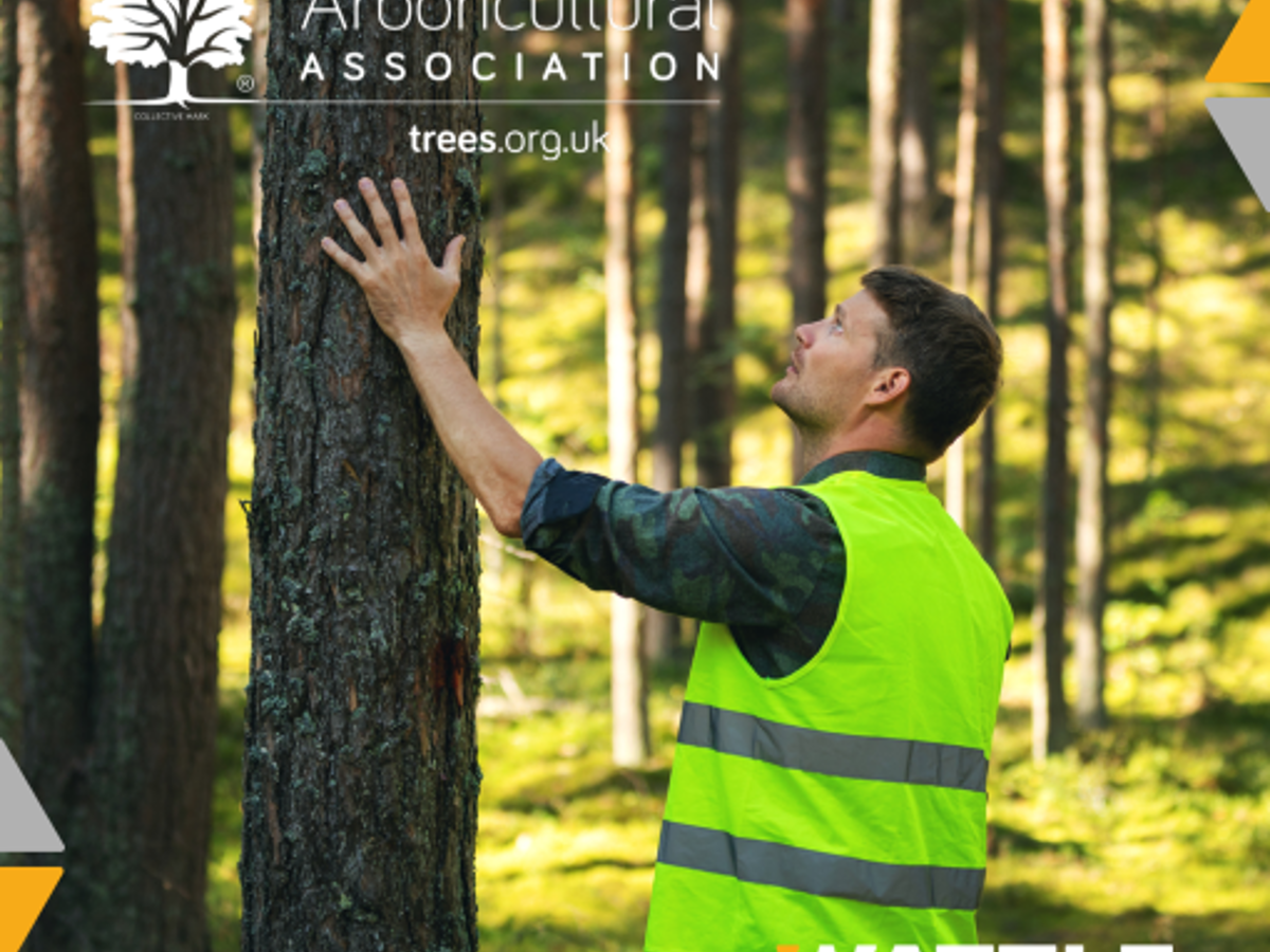 Arboricultural Association partner with Wattle for Digital Transformation — inline image 1