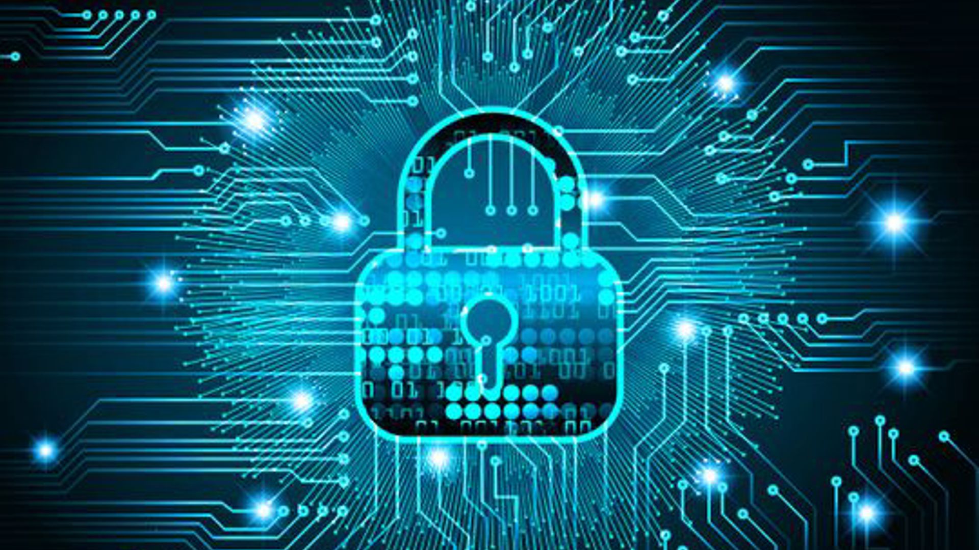 Wattle secures Cyber Essentials Certification — listing image