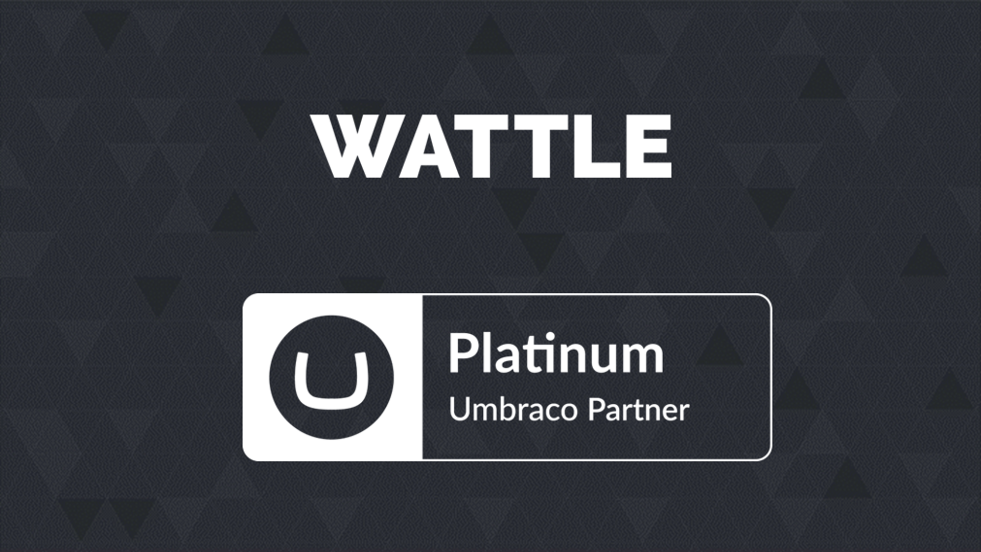 Wattle secures Platinum Partner status with Umbraco — listing image